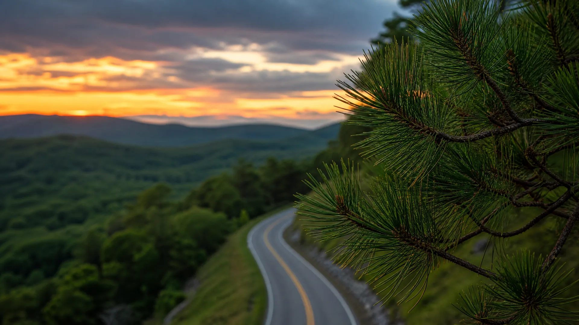 A curving two-lane road with a yellow center line winds along a forested ridge at sunset, with layered hills and orange clouds in the distance and a pine branch in sharp focus at the right foreground.