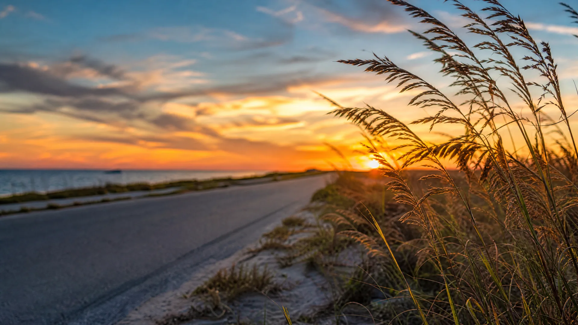 A paved coastal road curves past sandy dunes with tall seed-topped grasses in the foreground, with the sea on the left and the sun low on the horizon under orange and blue clouds.