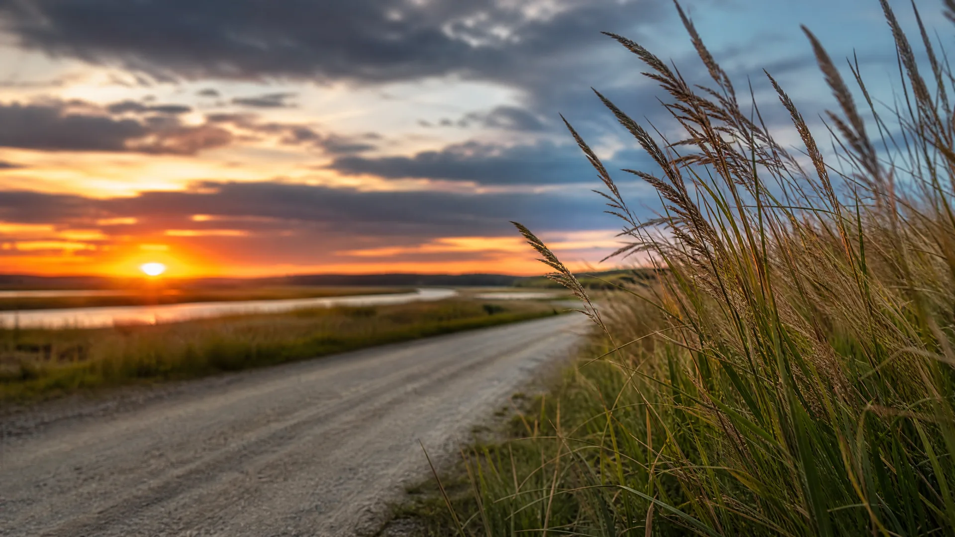 A gravel road curves through grassland at sunset, with tall seed-headed grasses in sharp focus on the right and water and low hills under a cloudy orange sky in the distance.